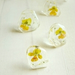    花の氷菓子 / 樹脂ピアス