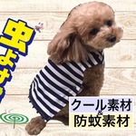 冷！防蚊ぱっちん♪ポンポン(ネイビー)