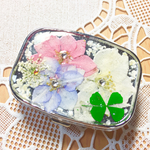 千鳥草ミックス 幸せのピルケース