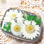 ホワイトガーデンの押し花ピルケース