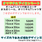 オリジナル アイロンシート オーダー アイロンプリント 名前シール