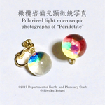 橄欖岩偏光顕微鏡写真