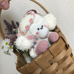 ソックモンキー