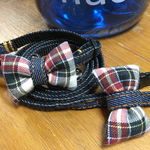 【オーダー品】犬用首輪&リードセット