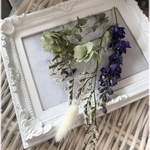 (⋈◍＞◡＜◍)。✧♡天然素材☆ドライフラワーの花材セット☆レジンなどにも最適5種☆オレガノケントビューティー☆デルフィニウム