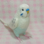 リアルサイズ♪ セキセイインコ 白ハルクイン系  budgie 虎皮鸚鵡 羊毛フィギュア 羊毛フェルト 鳥のオブジェ リアルバード 受注制作