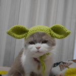宇宙人