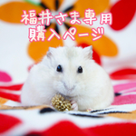 福井様専用購入ページ