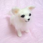 うちのチワワ☆