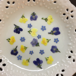 リナリア 黄色と紫(押し花)