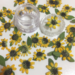 押し花☆ミニミニヒマワリ10輪
