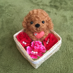 お花いっぱいふわふわ茶色トイプードル💕
