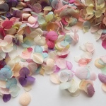 再×8販♪プリザ♡アナベル色いろいろ1・2枚花びらミックス