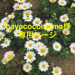 hayacocomama様専用ページ