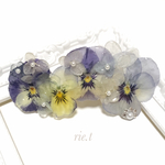 再販2【rie.t】本物のビオラ♡
