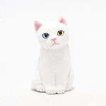 コルクのオッドアイ白猫