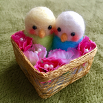 母の日に💕フワフワインコ💕
