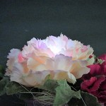 光る花 Mother`s Day カーネーション⚘