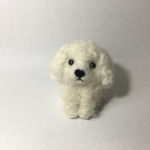 おすわりトイプードル
