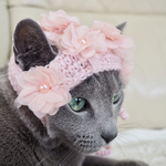 【再販1】猫用帽子   お花の妖精さん帽子 ver.2