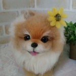 〔dooorin様専用ページ〕ニコニコポメチャン❤