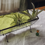 BOX細ながタイプ♡yellowgreen