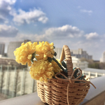 たんぽぽブローチ・一輪