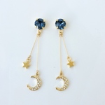 night swing　ピアス/イヤリング
