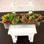 《待望の再販✨》オシャレブリキ鉢 寄せ植え