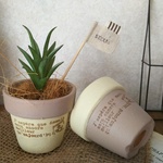 ＊mini×2♡テラコッタ鉢♡とフェイクグリーンのセットvanilla（単品）＊