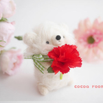 カーネーションnewふわくま（ホワイト）