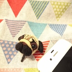 パグさんのイヤホンジャック📱✨