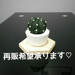 ☆サボテンフェイク小(たんげまる)☆