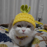 🍍 パイナップル 🍍