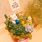 母の日 多肉植物と天使のくまさん
