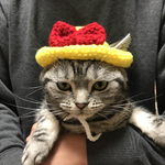 再販！猫用帽子 幼稚園帽