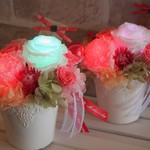  Mother`s day バラとカーネーション２灯～光る花  