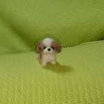 シーズー  羊毛フェルト