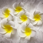 入荷♡８個セットプルメリア♡造花♡