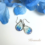 ブルーシェルのピアス/イヤリング