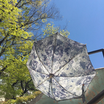 グレーのお花が可愛い日傘 