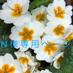 N様専用ページ