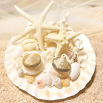 貝殻たっぷり♡リングピロー♡