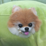 ご予約笑顔のポメラニアン