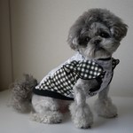 【ＳＡＬＥ】フリルタンクトップ　Sサイズ ２２００円→１０００円
