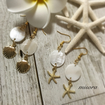 シェルピアス(イヤリング)