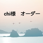 chi 様専用