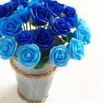  ミニチュア 薔薇