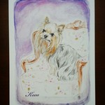 【lilymaru様オーダー品】愛犬イラスト