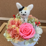 *送料無料*プリザーブドフラワー 5月のネコと華やかカーネーション